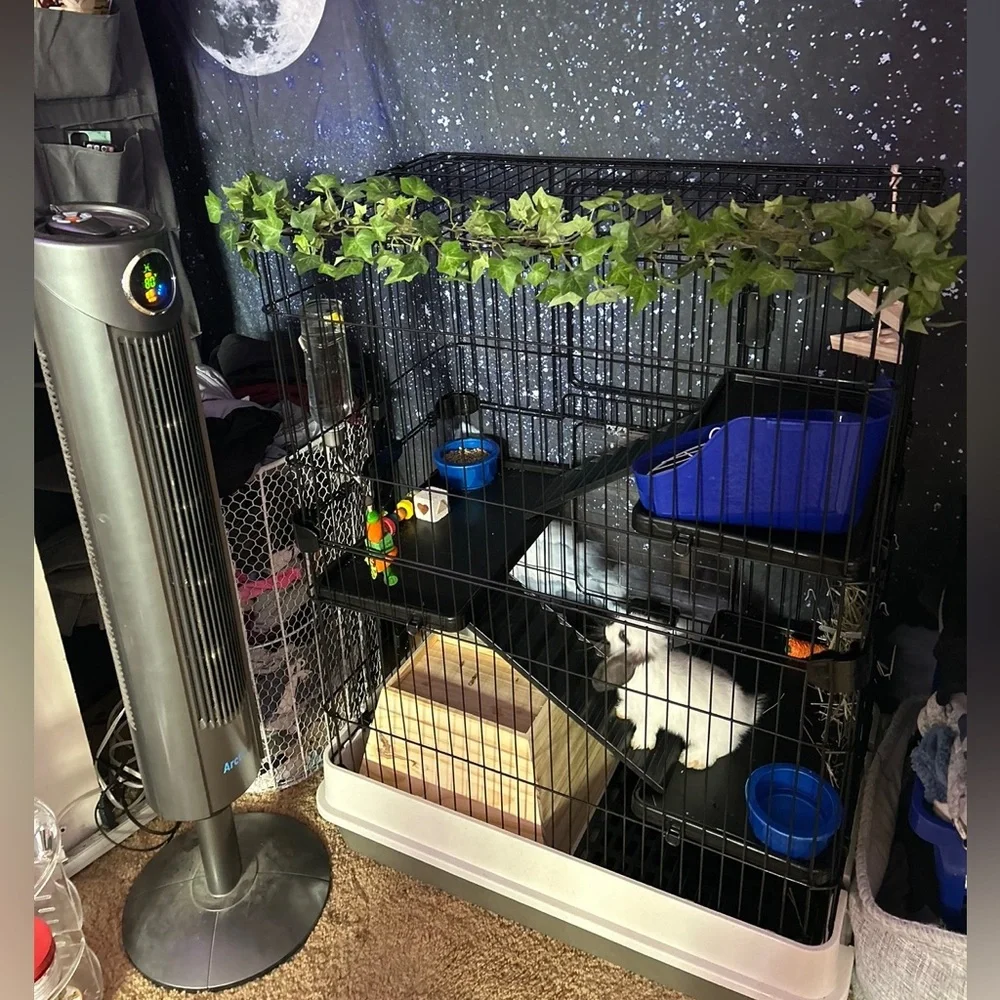4 story cage, for pets! Very nice and barely used!